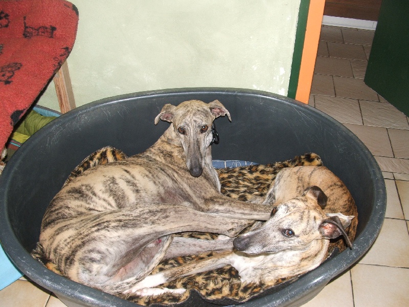 Photos de famille